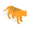 Tiger icon, isometric 3d style