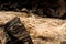 Tiger Leaping Gorge