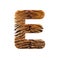 Tiger letter E - Capital 3d Feline fur font - suitable for Safari, Wildlife or big felines related subjects