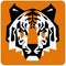 Tiger logo in orange black and white