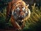 Tiger  Made With Generative AI illustration