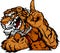 Tiger Mascot Body Cartoon