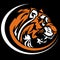 Tiger Mascot Graphic Image