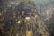 Tiger nest, upper Paro valley in Bhutan 8