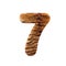 Tiger number 7 - 3d Feline fur digit - Suitable for Safari, Wildlife or big felines related subjects