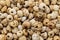 Tiger nuts, spanish chufa, superfoods