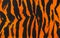 Tiger. Orange black striped acrylic. Fashionable design background