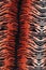 Tiger pattern background