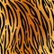 Tiger. Pattern texture repeating seamless.