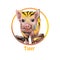 Tiger poster with Chinese zodiac text name digital art. Isolated poster of pig resembling wild animal holding brush in