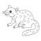 Tiger Quoll Coloring Page Isolated for Kids