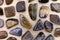 Tiger`s Eye rare jewel on light wood texture. Sparse mineral pebbles background