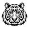 The tiger`s single head for the tattoo ideas