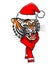 Tiger in santa claus hat. New Year tigress