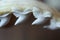 Tiger shark teeth