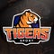 Tiger shield sport mascot template. Premade football, basketball or baseball patch design. College league insignia