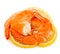 Tiger shrimps with lemon slice . Prawns with lemon slice isolated on a white background. Seafood.