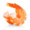 Tiger shrimps. Prawns isolated on a white background