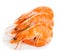 Tiger shrimps. Prawns with isolated on a white background.