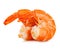 Tiger shrimps. Prawns isolated on a white background. Seafood.