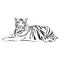 Tiger sitting, black and white, vector