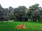 Tiger Sitting on a grass in Forest. Wildlife image of a beautiful Tiger in forest sitting and looking ahead.