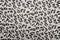 Tiger skin fabric pattern texture and background