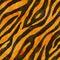 Tiger skin seamless background