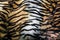 tiger skin or tiger leather texture stripe pattern closeup background