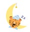 The tiger sleeps on the moon in pajamas. Vector image.
