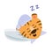 The tiger sleeps in pajamas. Vector image.