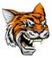 Tiger Sports Mascot