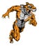 Tiger sports mascot running