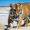 a tiger is standing in the sand with its mouth open and mouth wide open and mouth wide with its mouth wide with a blue sky in the