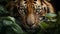 Tiger staring, striped fur, fierce eyes in nature generated by AI