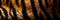 Tiger stripes background texture pattern design, wild, animals, cat, predator, Generative AI