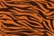 Tiger stripes pattern, animal skin, line background. Vector