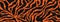 Tiger stripes pattern, animal skin, line background. Vector seamles texture