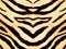 Tiger style fabric texture