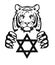 The Tiger and the symbol of Judaism - star of David, Megan David,  drawing for tattoo