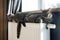 A tiger tabby cat relaxing on a warm radiator. Warm. Cats lies on the battery on a cold day