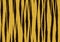 Tiger texture background