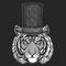 Tiger. Top hat, cylinder. Hipster animal, gentleman. Classic headdress. Print for children t-shirt, kids clothing.