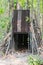 Tiger trap in forest at Huai Kha Khaeng Wildlife Sanctuary, Thailand