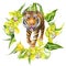 Tiger, tropical palm leaves and orchids flowers hand-painted watercolor, poster