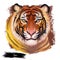 Tiger watercolor portrait in closeup. Hand drawn panthera tigris, wild cat of large size. Felidae family member mammal with furry