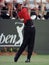 Tiger Woods in Action at Doral Country Club