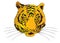 Tiger Zodiac Year