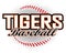 Tigers Baseball Design