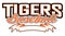 Tigers Baseball Design With Banner